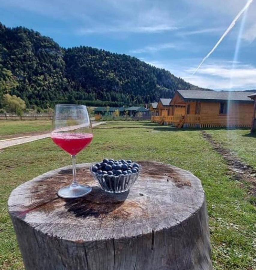 Camping Farm Shelegur Leskovik Exterior foto