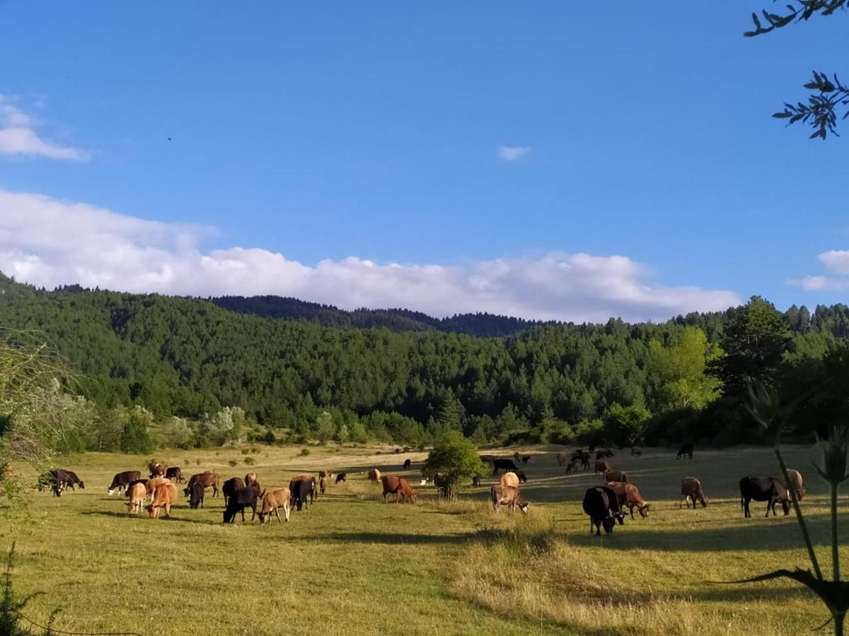 Camping Farm Shelegur Leskovik Exterior foto